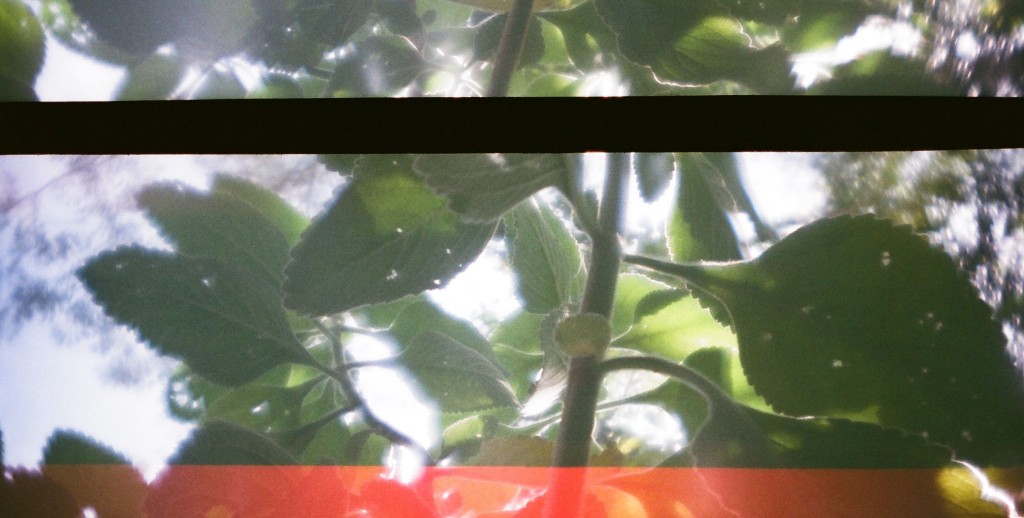 06570011_web2 06570011_web2