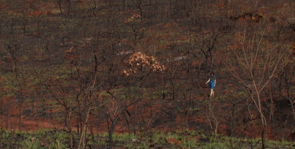 10-1024x576 10-1024x576